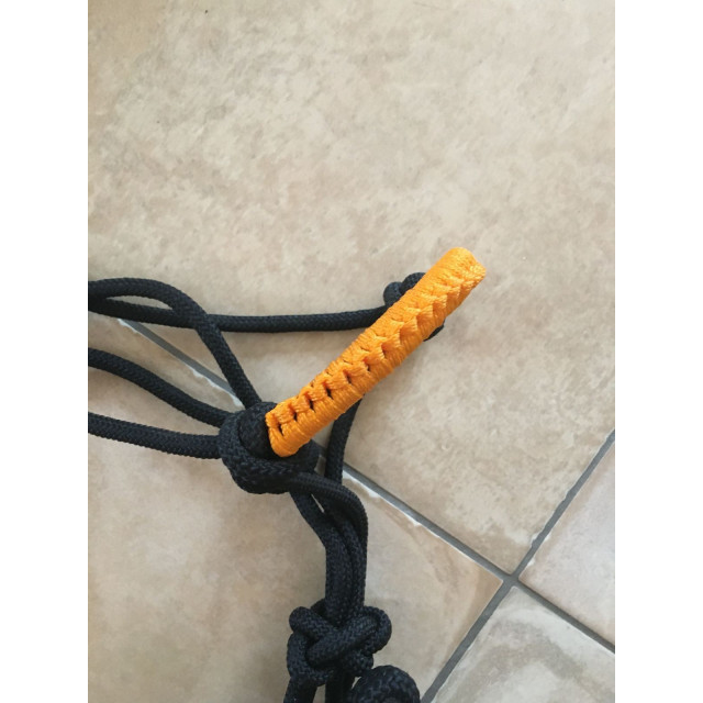 Licol éthologique et longe