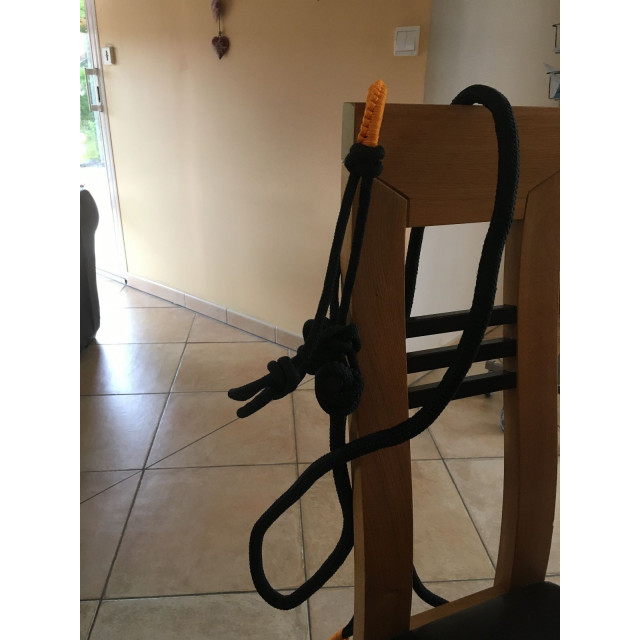 Licol éthologique et longe