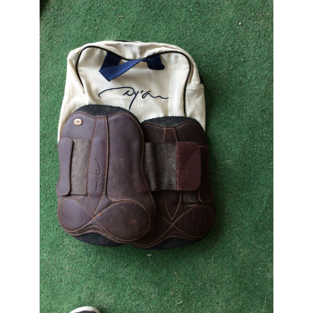 Protections antérieures Dyon