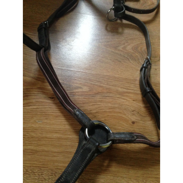 Collier de chasse fouganza