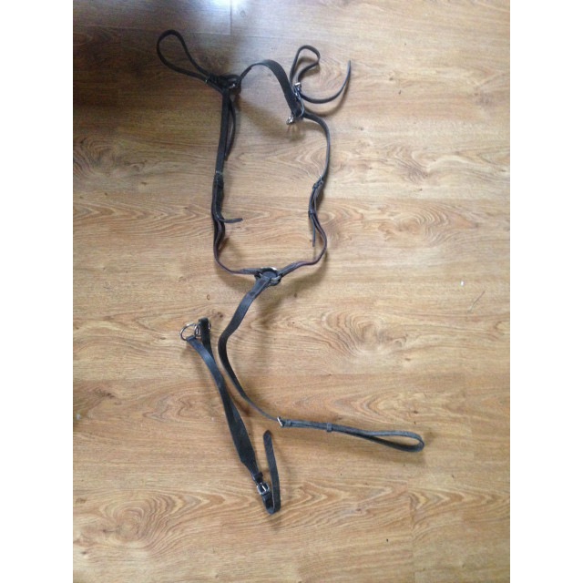 Collier de chasse fouganza