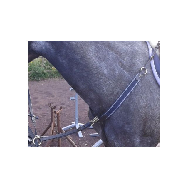 Collier de chasse