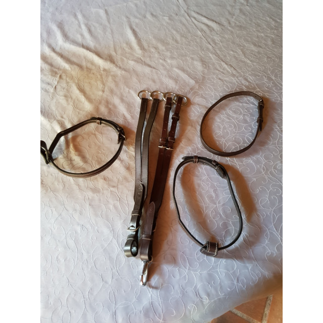 Ensemble martingale nosebande