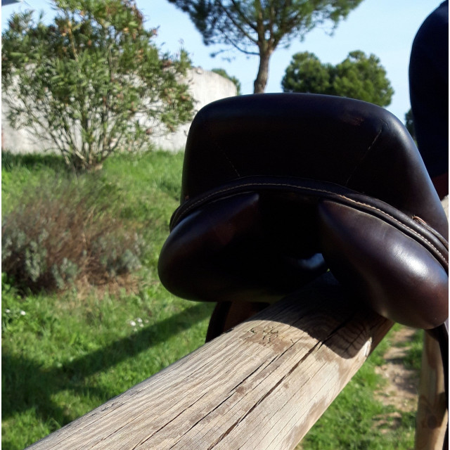 Selle Eric Thomas modèle Fontainrbleau