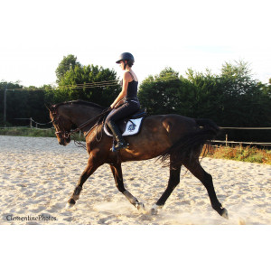 Selle cwd mademoiselle 2016