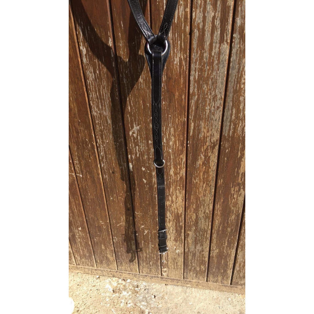 collier de chasse + martingale