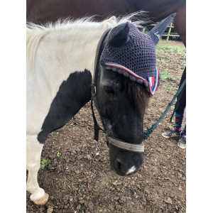 Bonnet Lamicell France