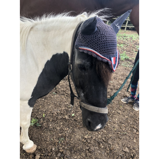 Bonnet Lamicell France
