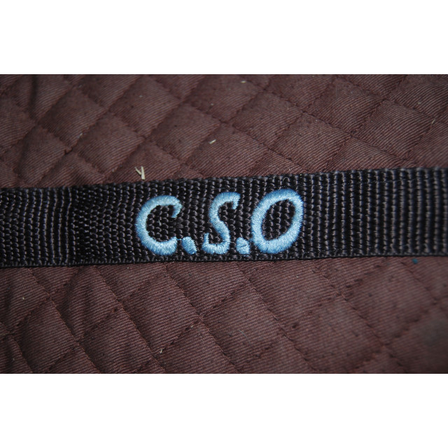 Amortisseur CSO