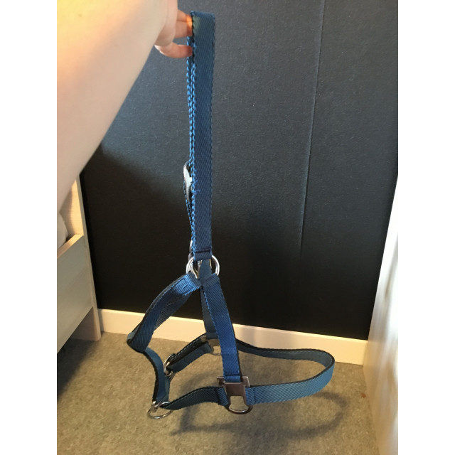 licol bleu + longe noir