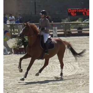 Veste Animo T38