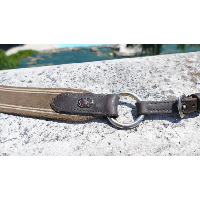 collier de chasse -PONEY