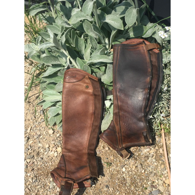 Chaps Dy’on t.XS