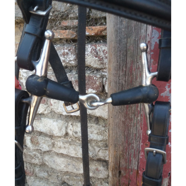 Bridon taille poney avec mors aiguille