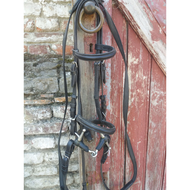Bridon taille poney avec mors aiguille