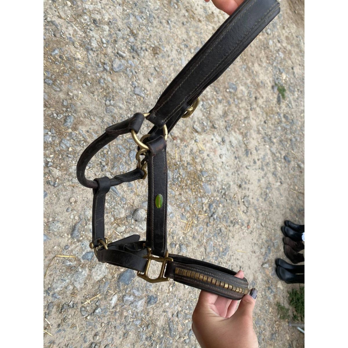Étrier Cheval En Cuir Véritable Avec Strass - Marron 137,2 Cm - Boucle Acier Inoxydable