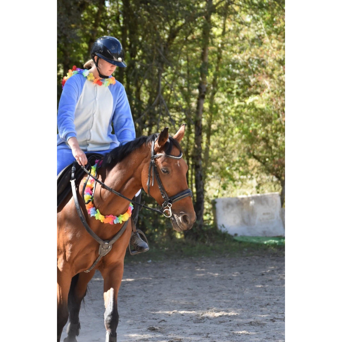 bottes equitation caoutchouc le chameau
