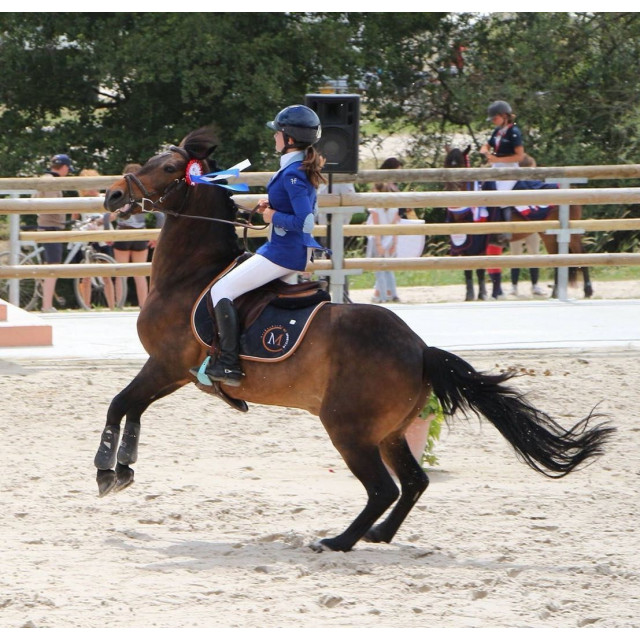 Veste Horse Pilote