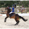 Veste Horse Pilote