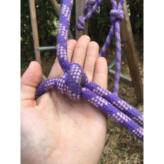 Licol éthologique mauve et lavande