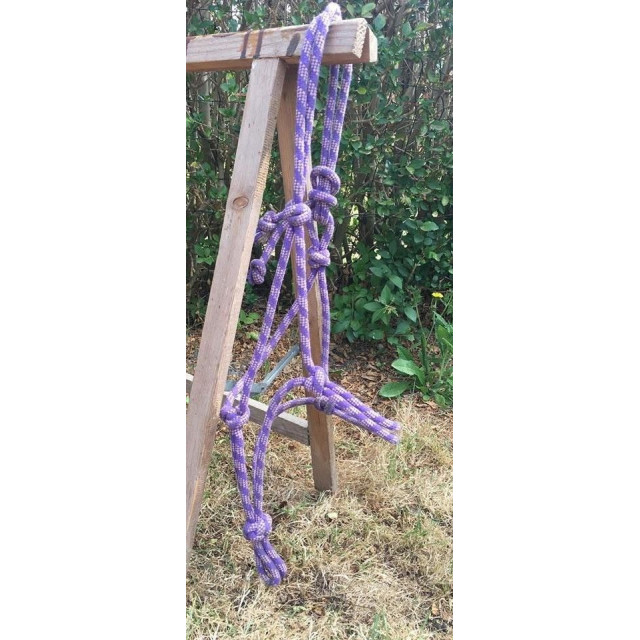 Licol éthologique mauve et lavande