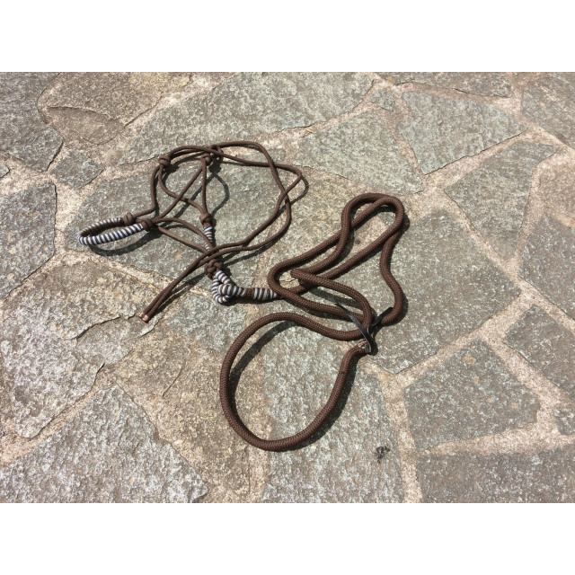 Licol éthologique et longe