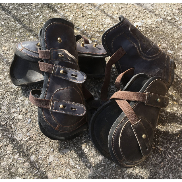 Guêtres et Protège-boulets