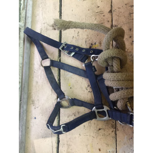 Licol bleu marine plat