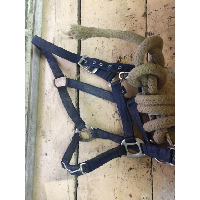 Licol bleu marine plat