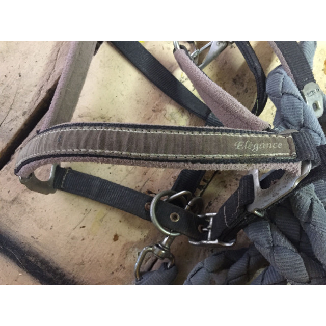 Licol gris et rose lami cell