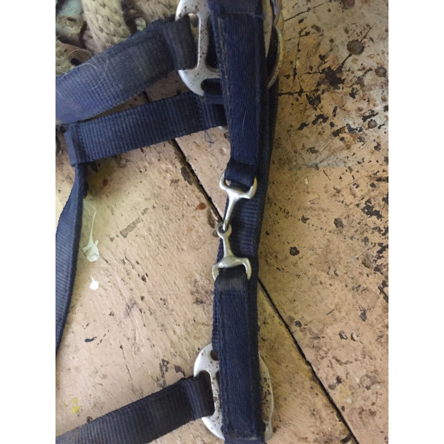 Licol bleu marine plat