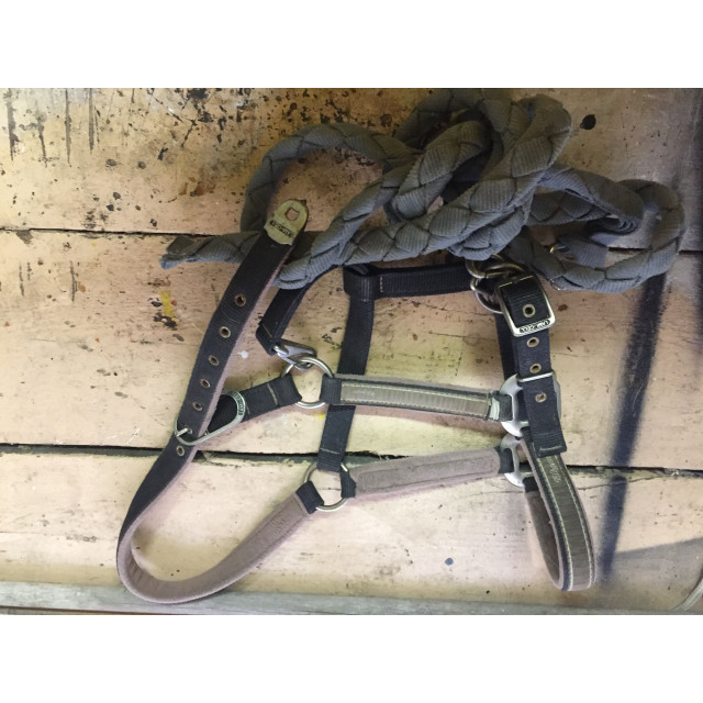 Licol gris et rose lami cell