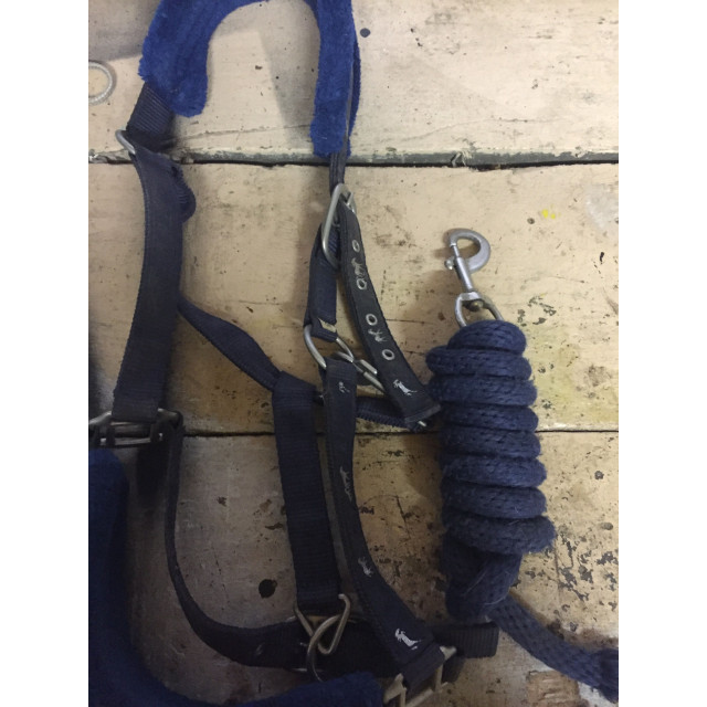 Licol bleu marine Norton