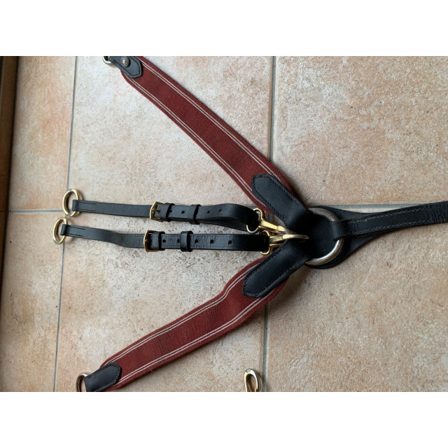 Collier de chasse avec martingale