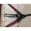 Collier de chasse avec martingale