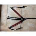 Collier de chasse avec martingale