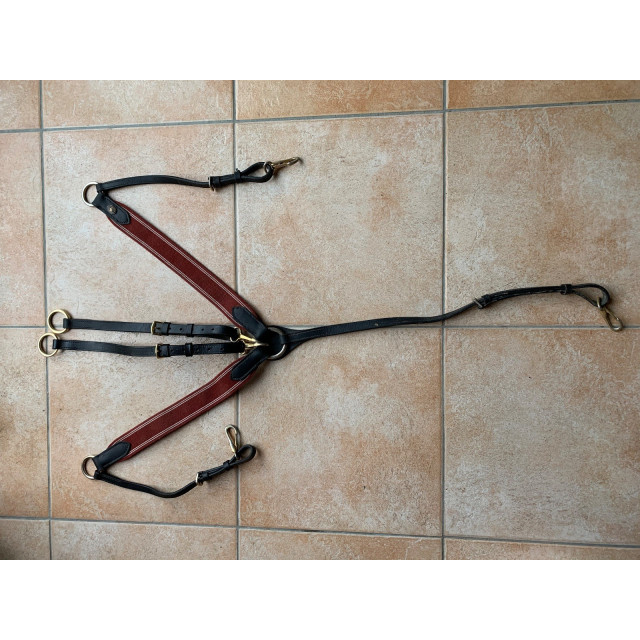 Collier de chasse avec martingale