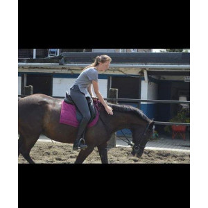 Tapis de selle QHP