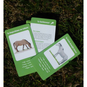 JEU DE CARTES SUR LES ROBES