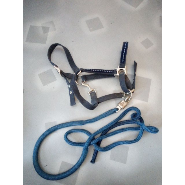 Licol à strass
