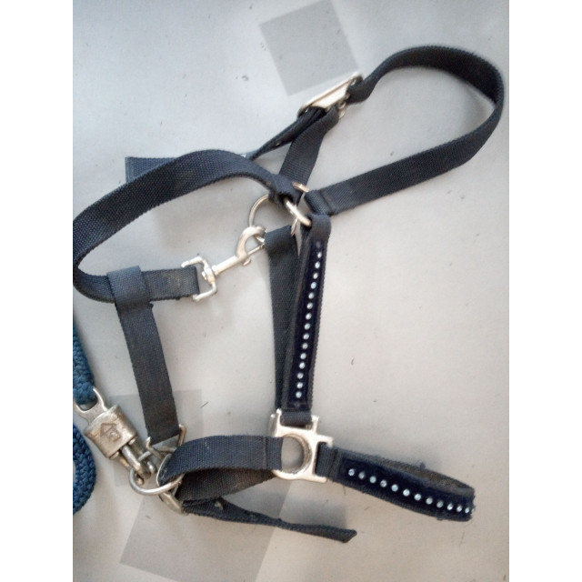 Licol à strass