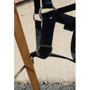 Licol marine FOUGANZA