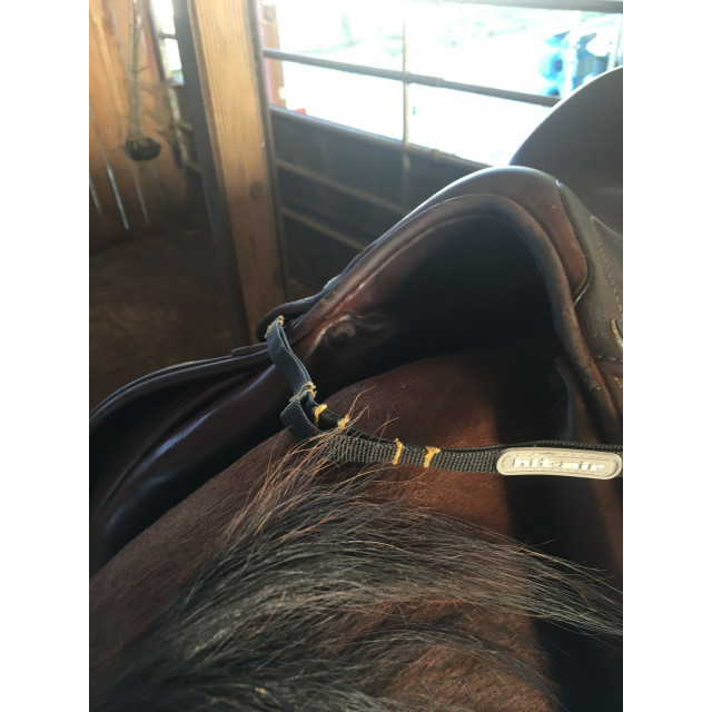 selle cso Prestige 17,5