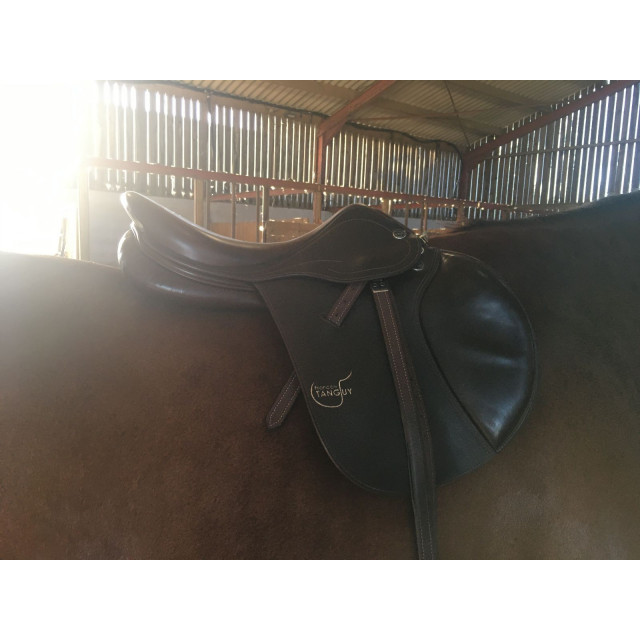 selle cso Prestige 17,5