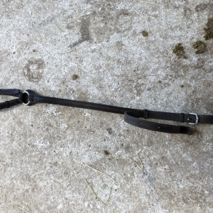 Collier de chasse CWD