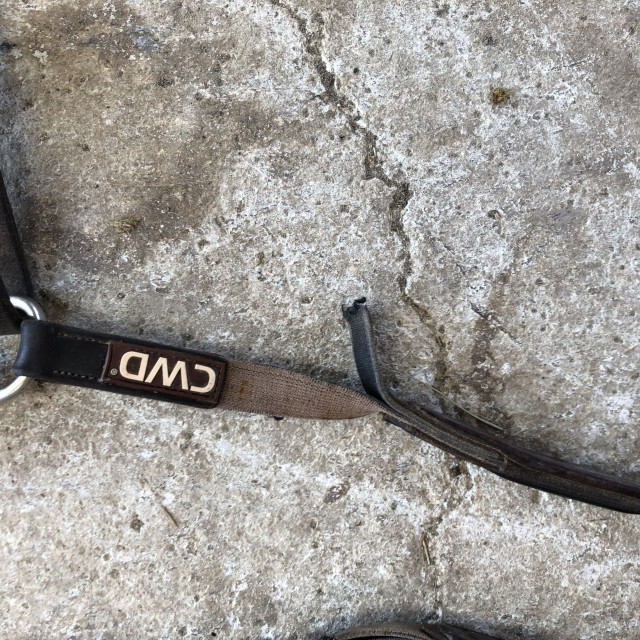 Collier de chasse CWD