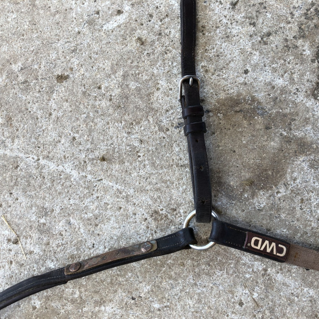 Collier de chasse CWD