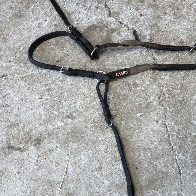 Collier de chasse CWD