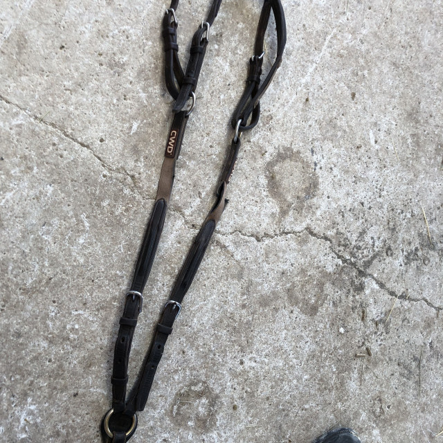 Collier de chasse CWD