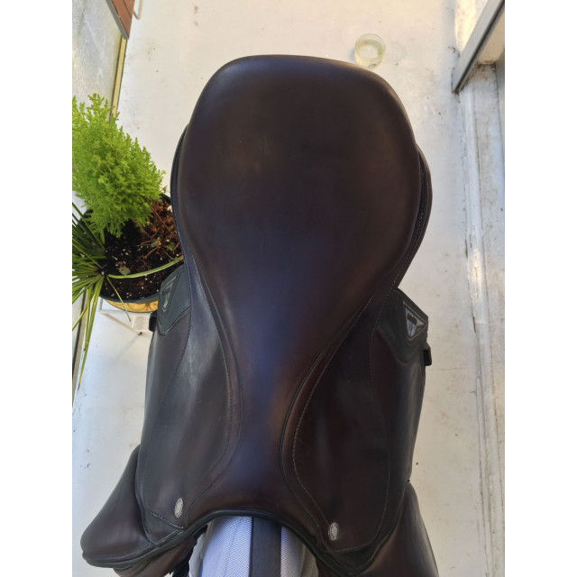 Selle equiline
